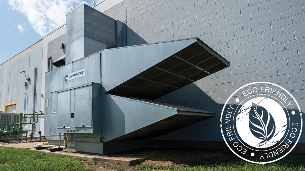 Eco Friendly_Blog Image_800px_450px.jpg